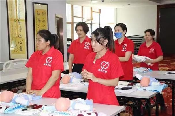 家政行业转型阵痛 新生儿护理服务的现状与破局之道