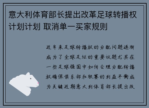意大利体育部长提出改革足球转播权计划计划 取消单一买家规则